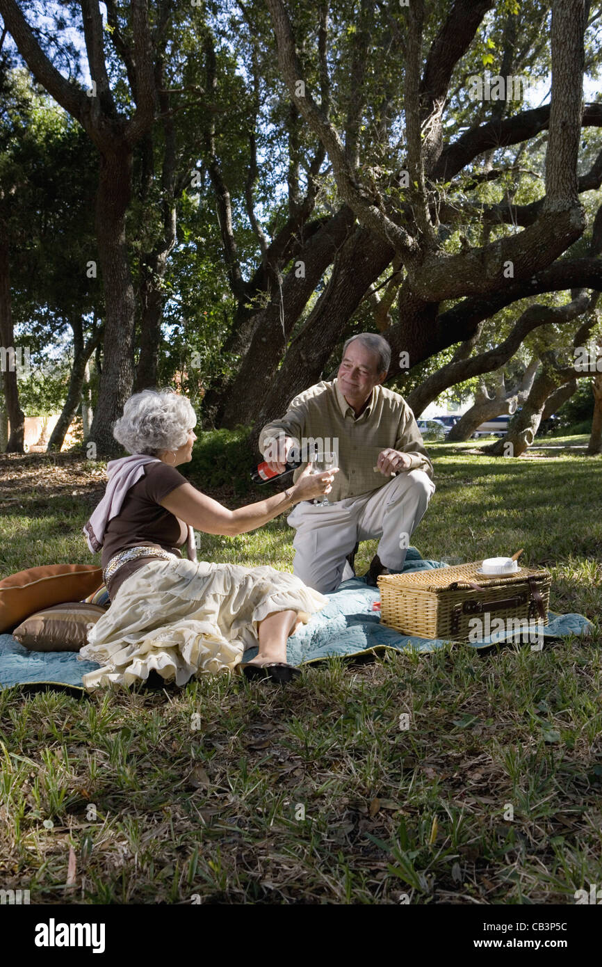 Älteres paar Weingenuss auf der Picknickdecke Stockfoto