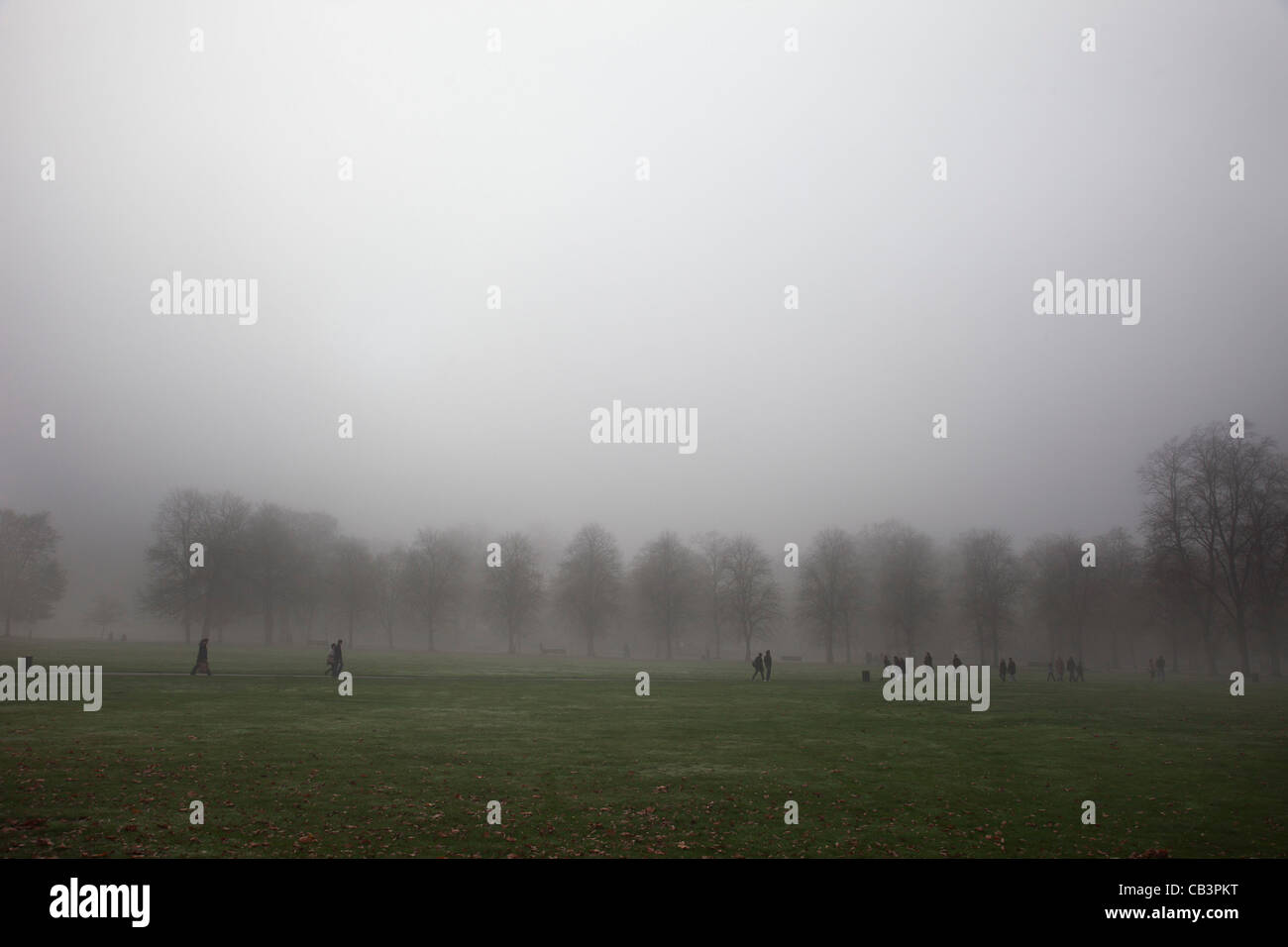 Dichter Nebel in London. Unheimliche Atmosphäre als Dichter Nebel steigt im Greenwich Park. Stockfoto