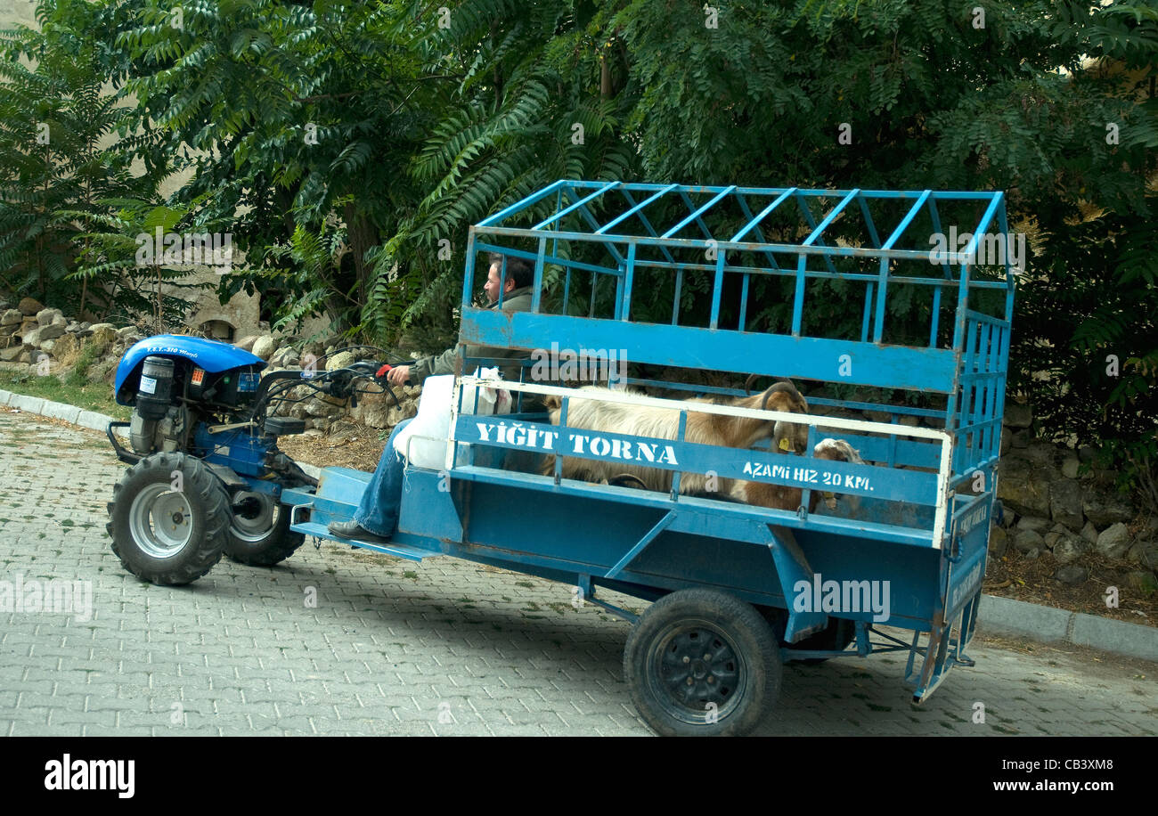 Den Nahverkehr Fähren Ziegen durch die ländlichen Täler von Kappadokien Türkei Stockfoto