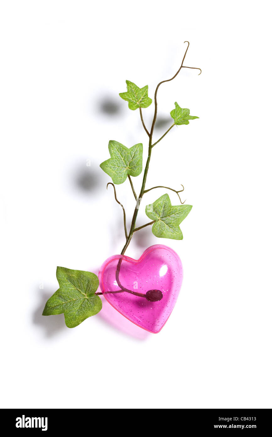 Herz Efeu Stockfotos Und Bilder Kaufen Alamy