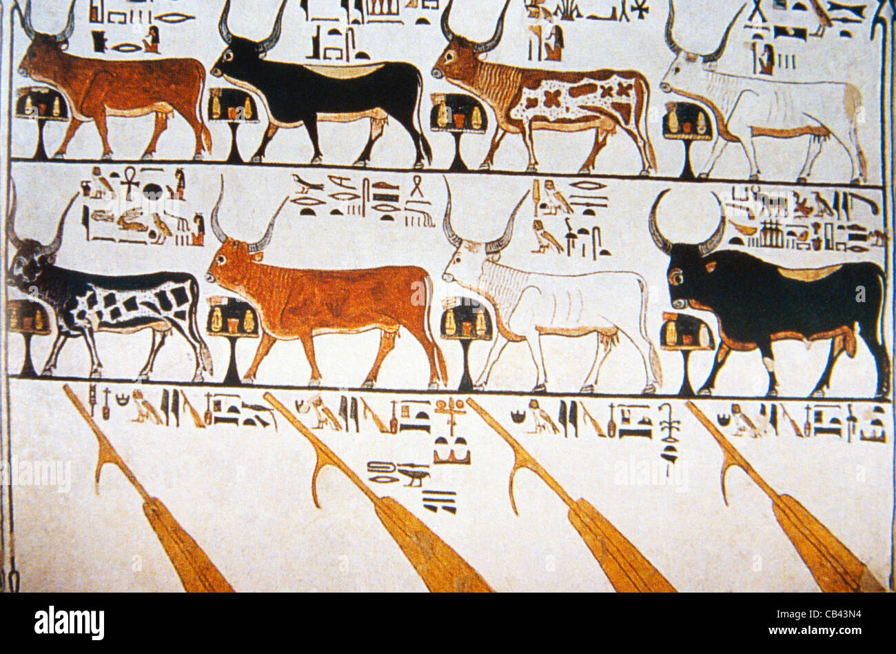 Luxor Egypt Tal der Königinnen Grab von Nefertari, Himmelstier und sieben Hathor-Kühe mit den vier Rudern des Himmels darunter Stockfoto