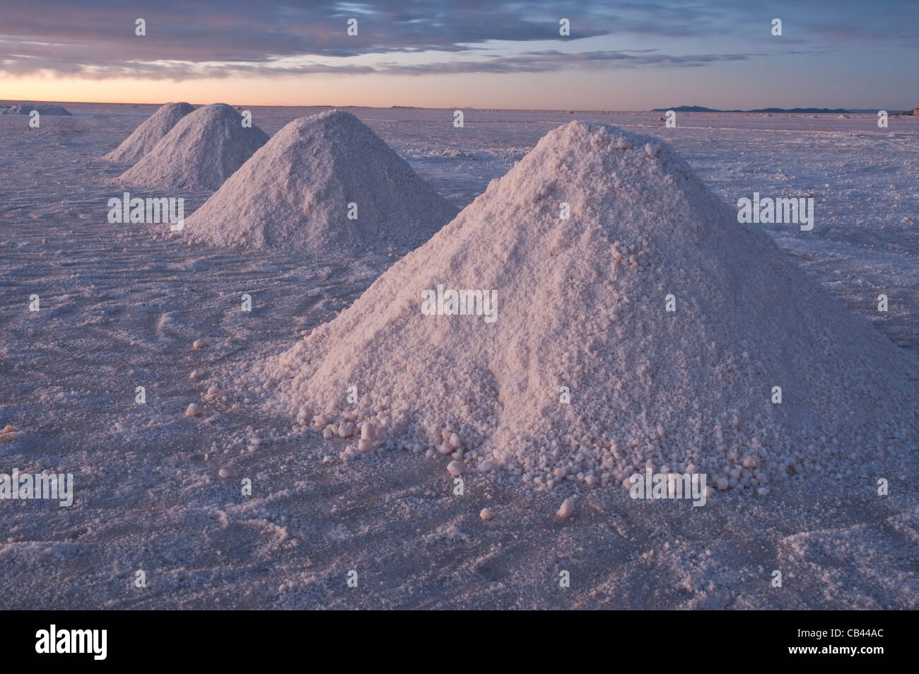 Salar de Uyuni, Collecting Salz an Colchani; Potosi Region, Bolivien, Südamerika Stockfoto