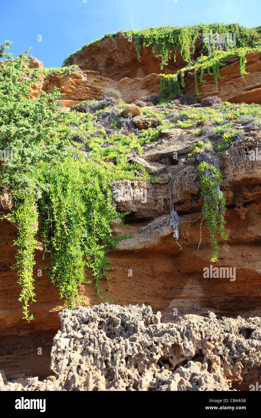Sardinien, Cagliari, Italien, Costa Verde, Küste Meer bei Marina de Arbus, Punta Campu Sali Stockfoto