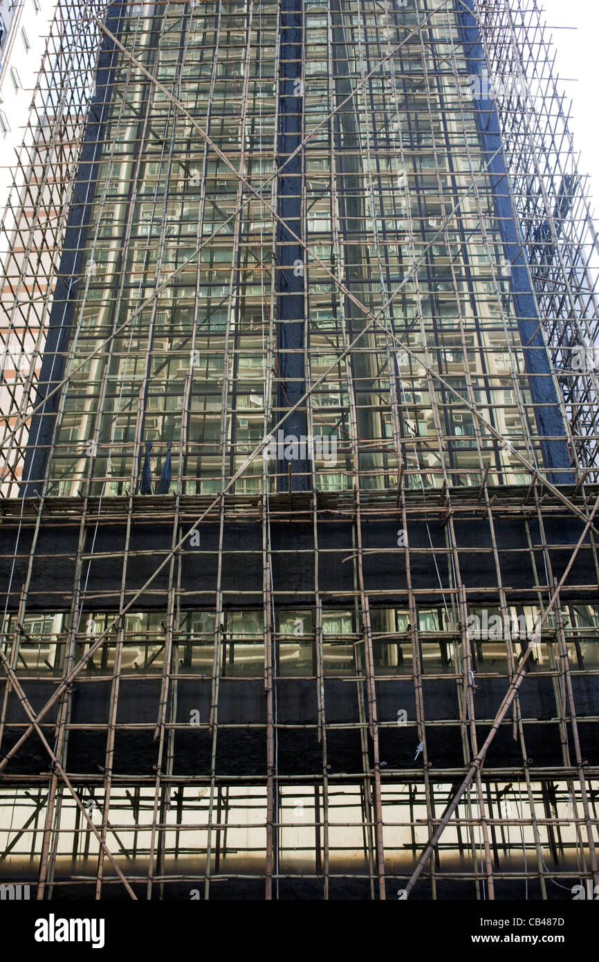 Bambus-Gerst in Hongkong China Stockfotografie - Alamy