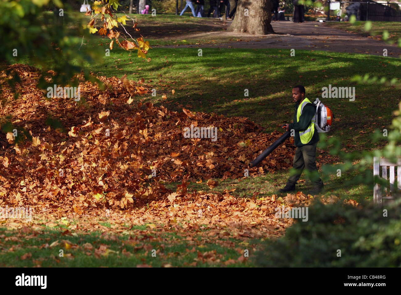 Ein Gärtner in St James Park, London Clearing Blätter mit einem Rucksack Laubbläser Stockfoto