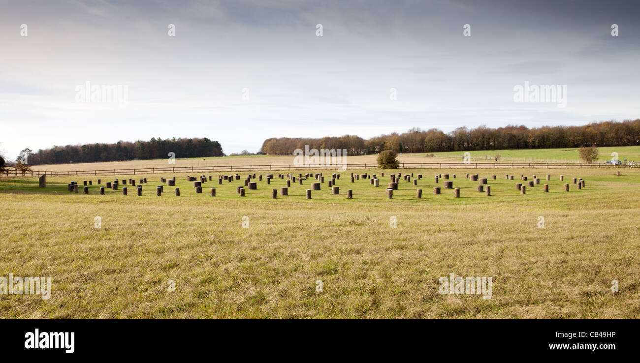 Woodhenge, Wiltshire. Die Reste einer Holzkonstruktion in der Nähe von Stonehenge. Stockfoto