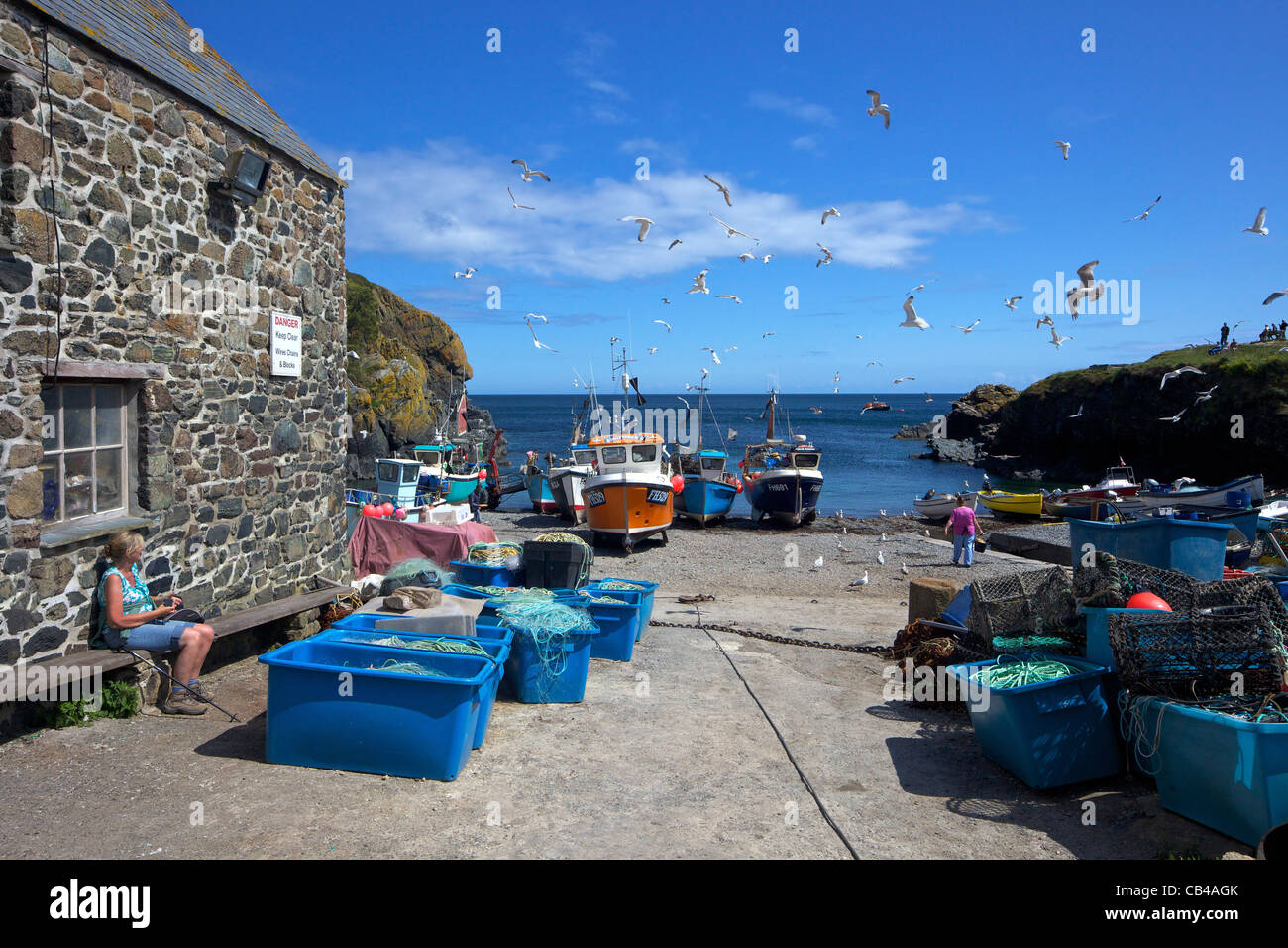 Angelboote/Fischerboote am Strand von Cadgwith, Halbinsel Lizard, Cornwall, Südwestengland, UK, Vereinigtes Königreich, GB, Großbritannien, B Stockfoto