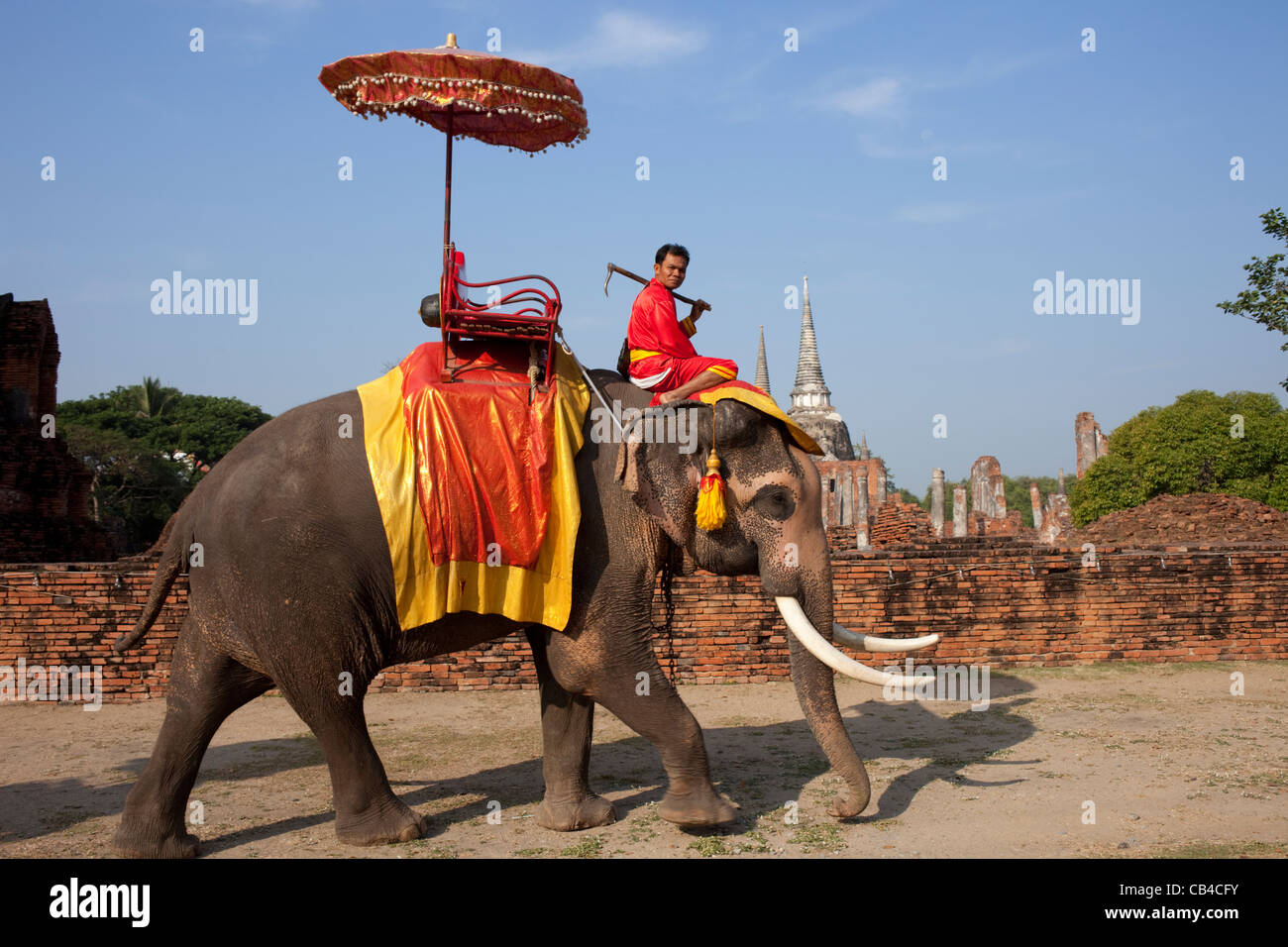 Thailand, Ayutthaya, Ayutthaya Historical Park, Elefanten Stockfoto
