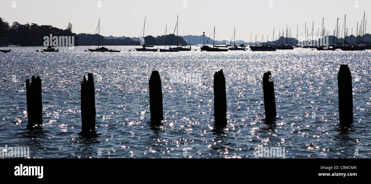 Beiträge im Wasser Bosham Hafen Chichester West Sussex Stockfoto