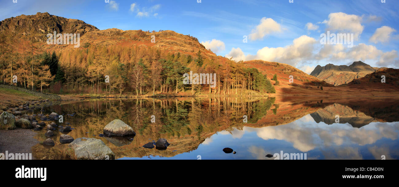 Panorama Blea Tarn, wenig Langdale Valley, Lake District National Park, National Trust, England, UK Stockfoto