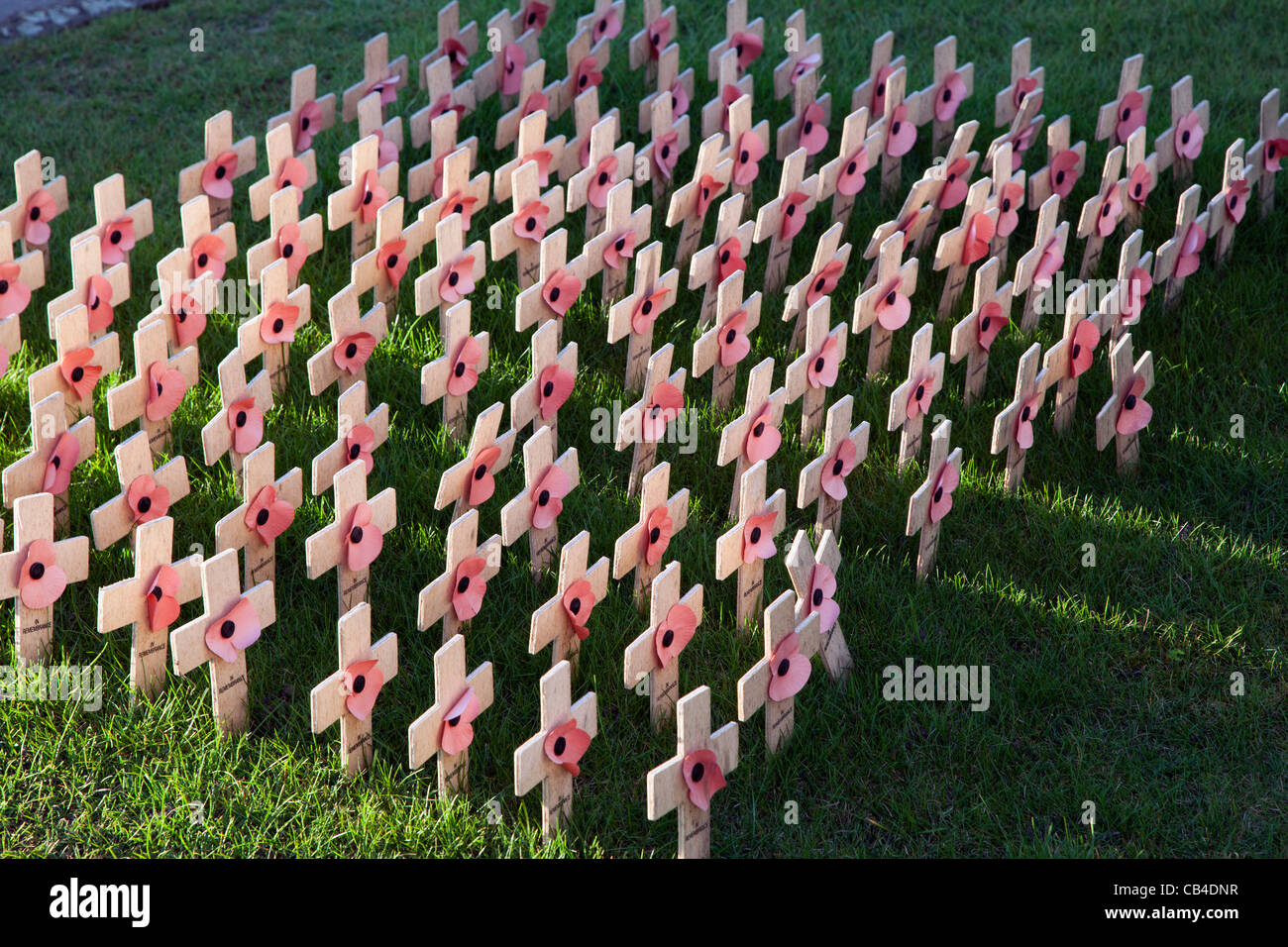 In der Erinnerung. Mohn Tag Kreuze Stockfoto