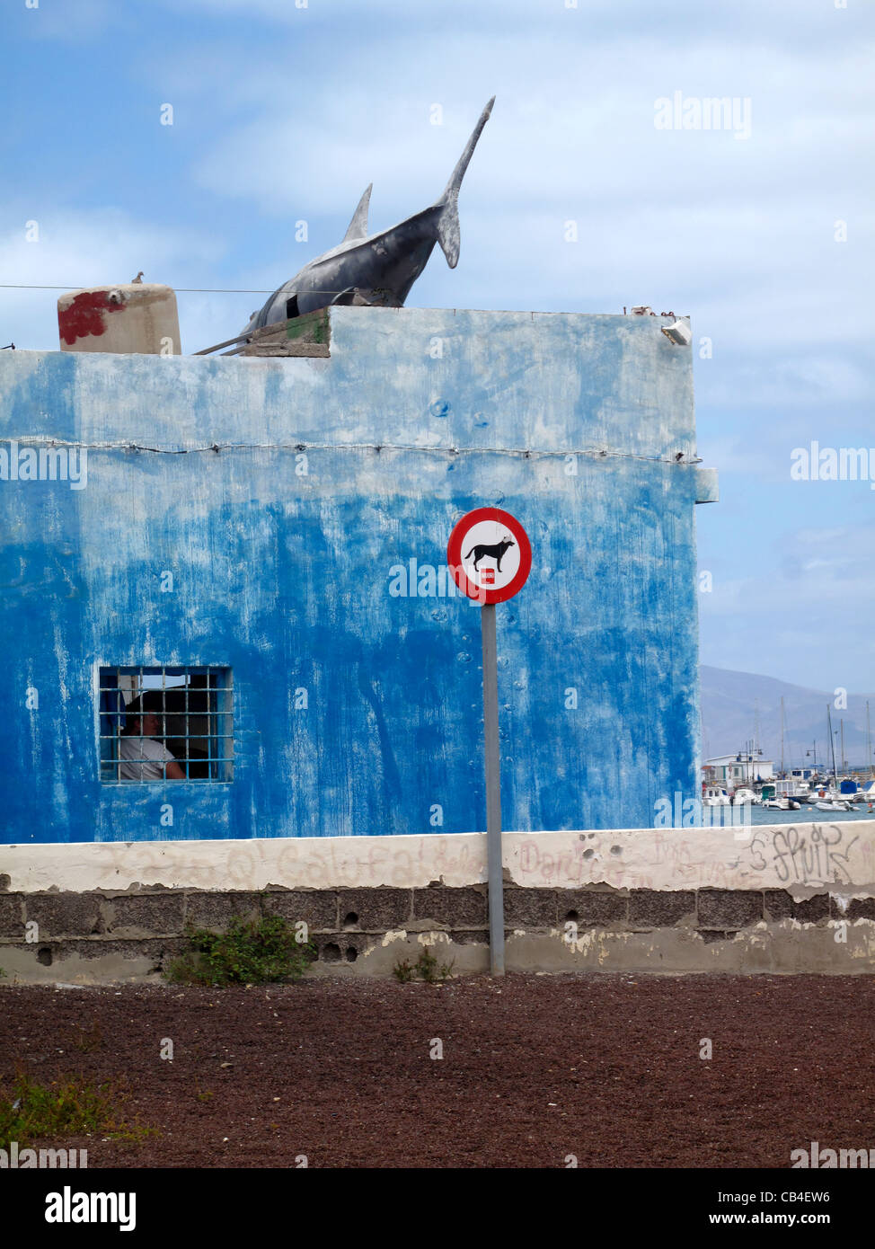 Modell Shark auf Dach des Ladenbau Stockfoto