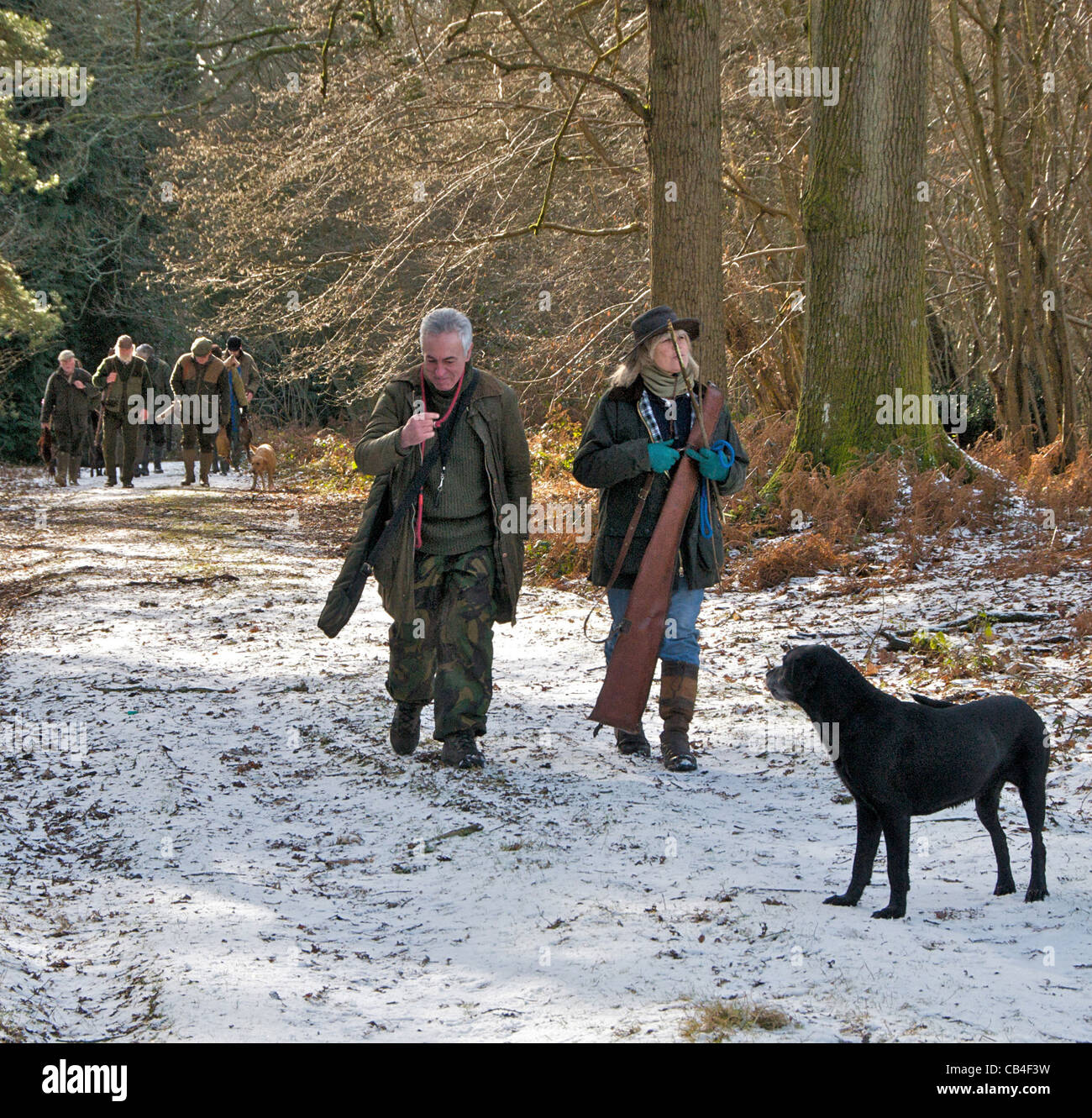 Fasan Shoot Spiel im Winter Königreich Stockfoto