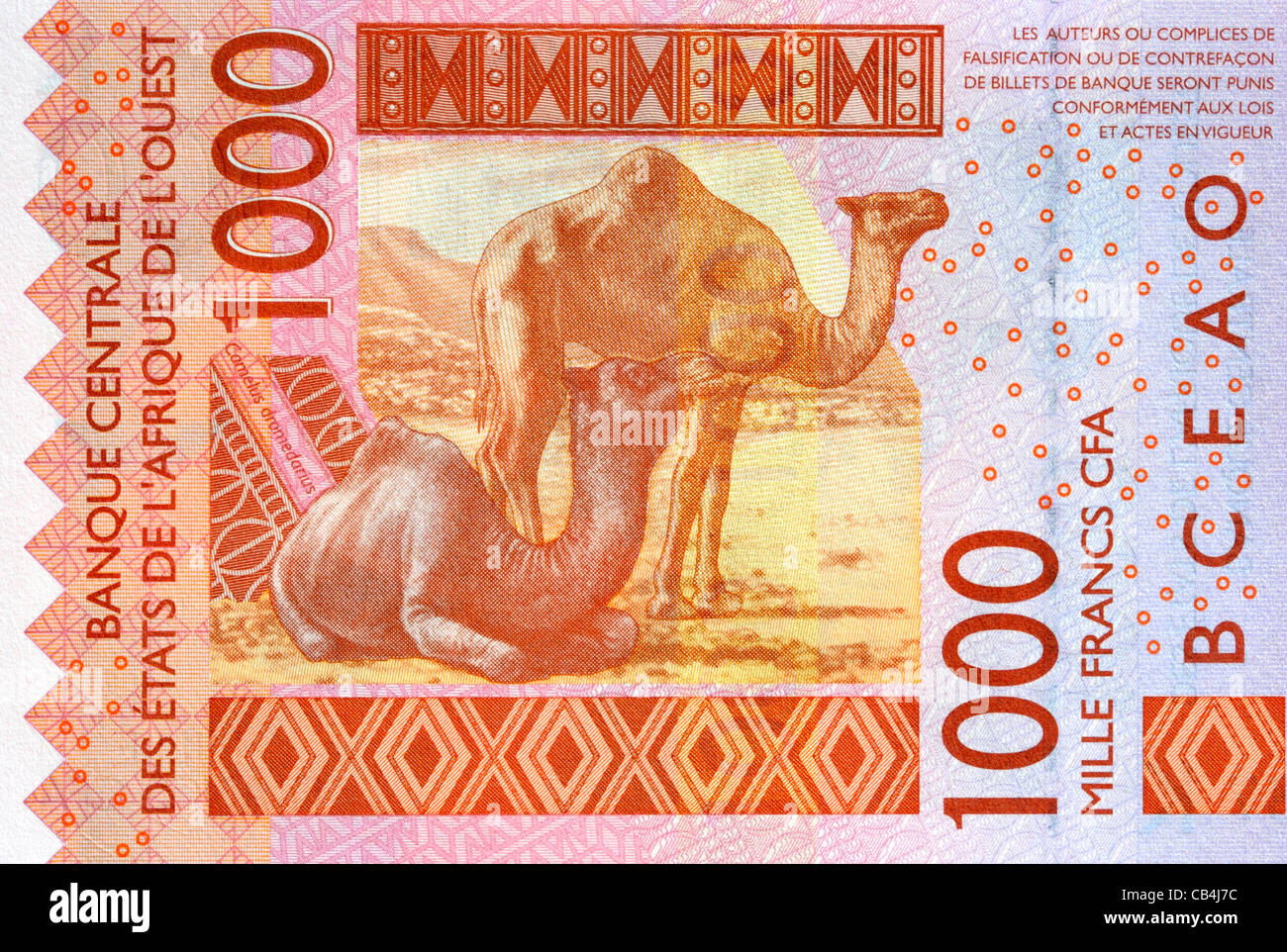 Senegal 1000 ein tausend Franken Banknote. Stockfoto