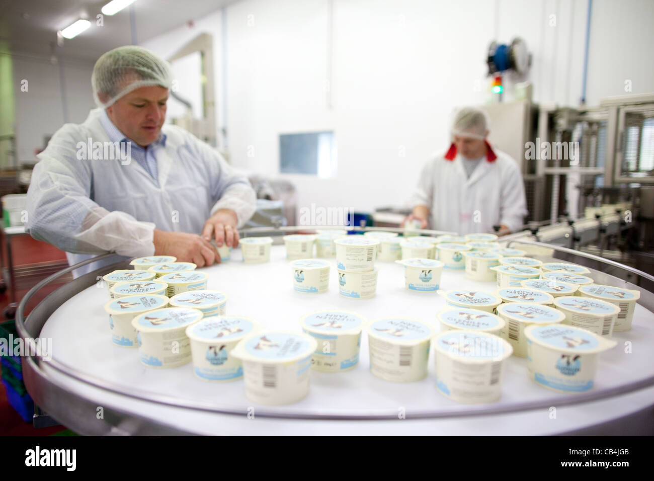 Irische Handwerker Hersteller von Milchprodukten Glenilen Farm Milcherzeuger County Cork Irland. Foto: Jeff Gilbert Stockfoto