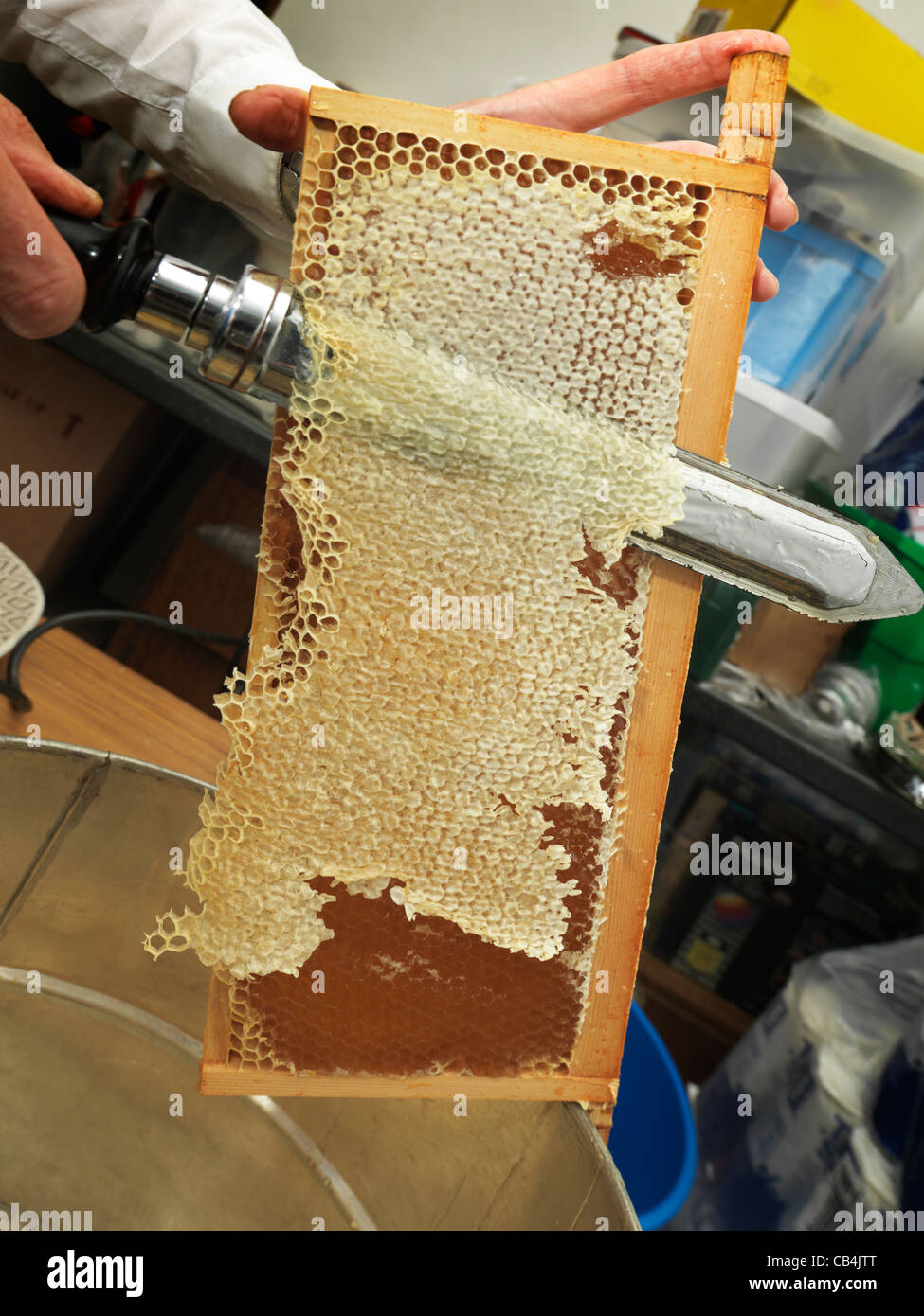 Sammeln von Honig im August schneiden Wachs aus Rahmen mit beheizten Messer vor dem Spinnen Stockfoto
