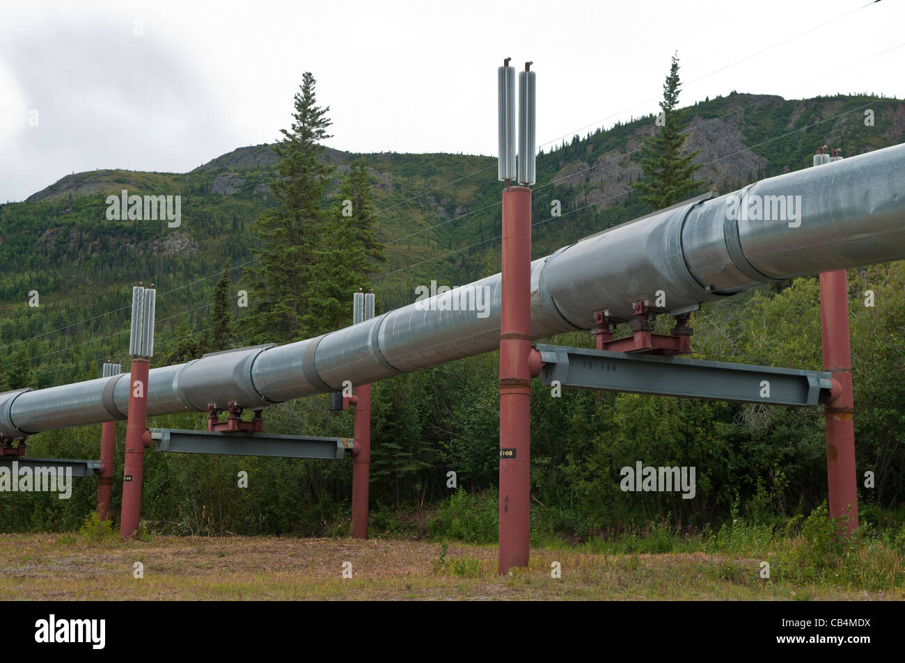 Trans-Alaska-Öl-Pipeline Stockfoto