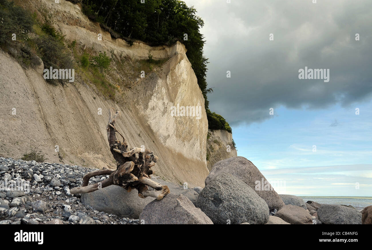 Kreide Klippen Insel rügen Stockfoto