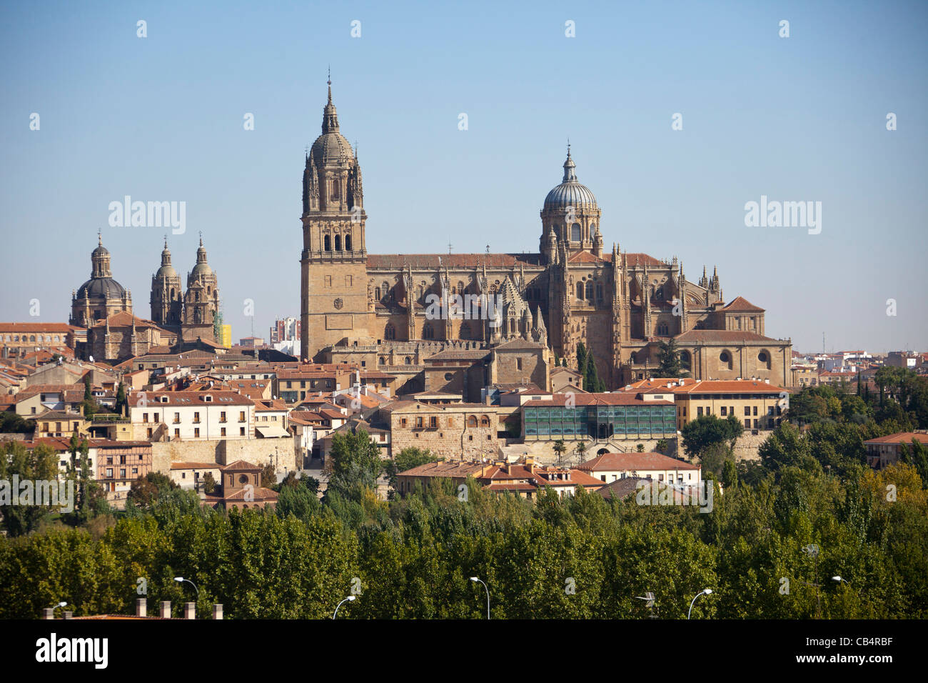 Allgemeine Ansicht neue Kathedrale in Salamanca, Castilla y León, España Spanien 111262 Spain Stockfoto