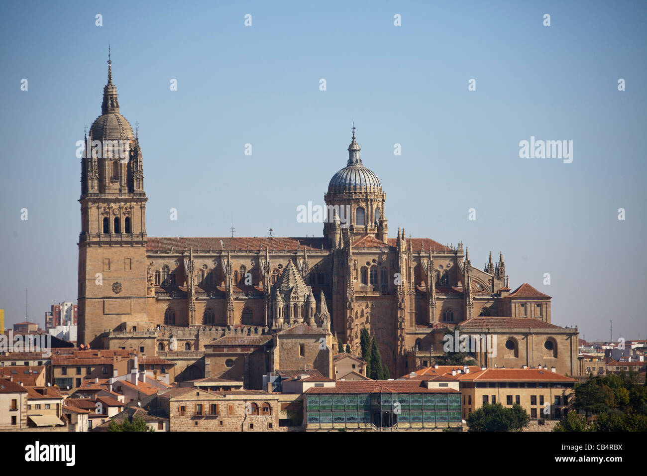 Allgemeine Ansicht neue Kathedrale in Salamanca, Castilla y León, España Spanien 111264 Spain Stockfoto