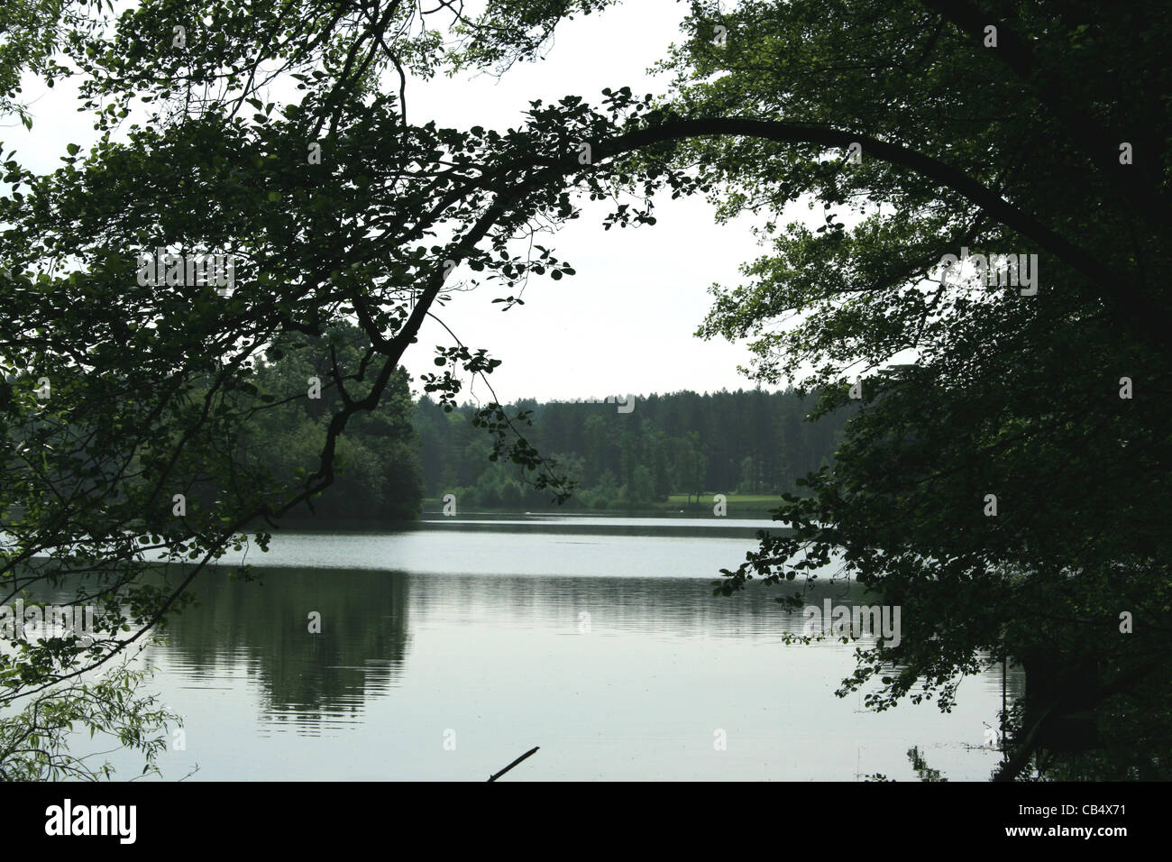 Blick auf See durch Bogen von Ästen. -Berkshire Stockfoto