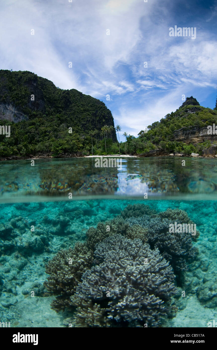 Split-Level-Foto, Misool Bereich, Raja Ampat, West Papua, Indonesien, Pazifik Stockfoto