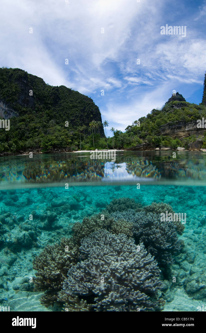 Split-Level-Foto, Misool Bereich, Raja Ampat, West Papua, Indonesien, Pazifik Stockfoto