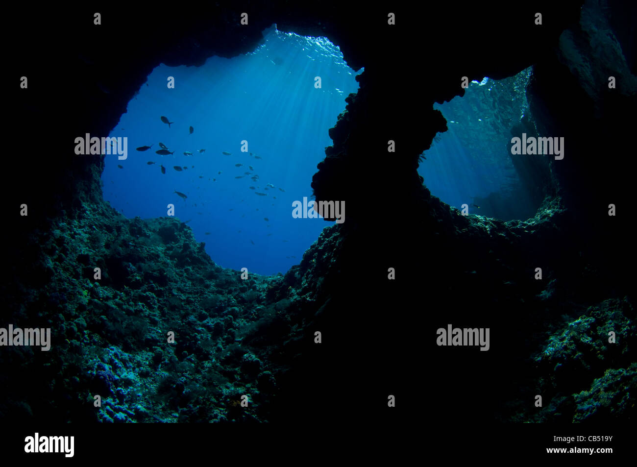 Boo Boo Windows auf Insel, Raja Ampat, West Papua, Indonesien, Pazifischer Ozean Stockfoto