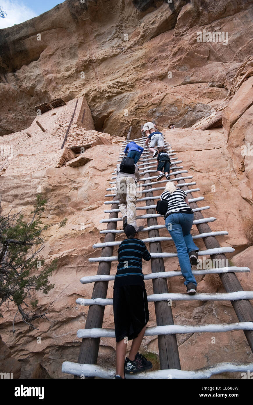 Gäste, die Klettern Leiter Balkon Haus Tour Mesa Verde Nationalpark Colorado USA Stockfoto