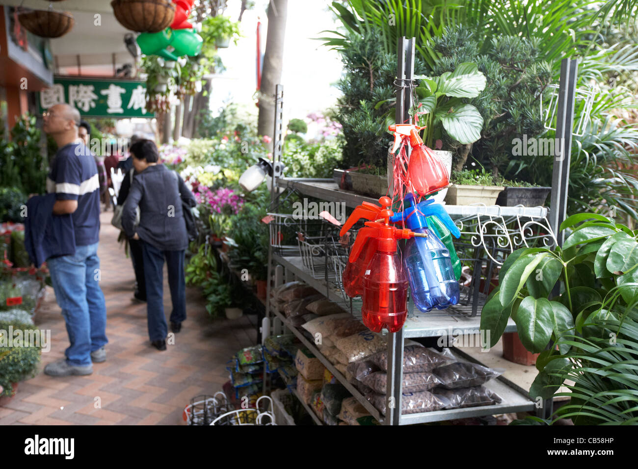 die Blume Markt Mong Kok Bezirk Kowloon Hong Kong Sonderverwaltungsregion Hongkong China Stockfoto