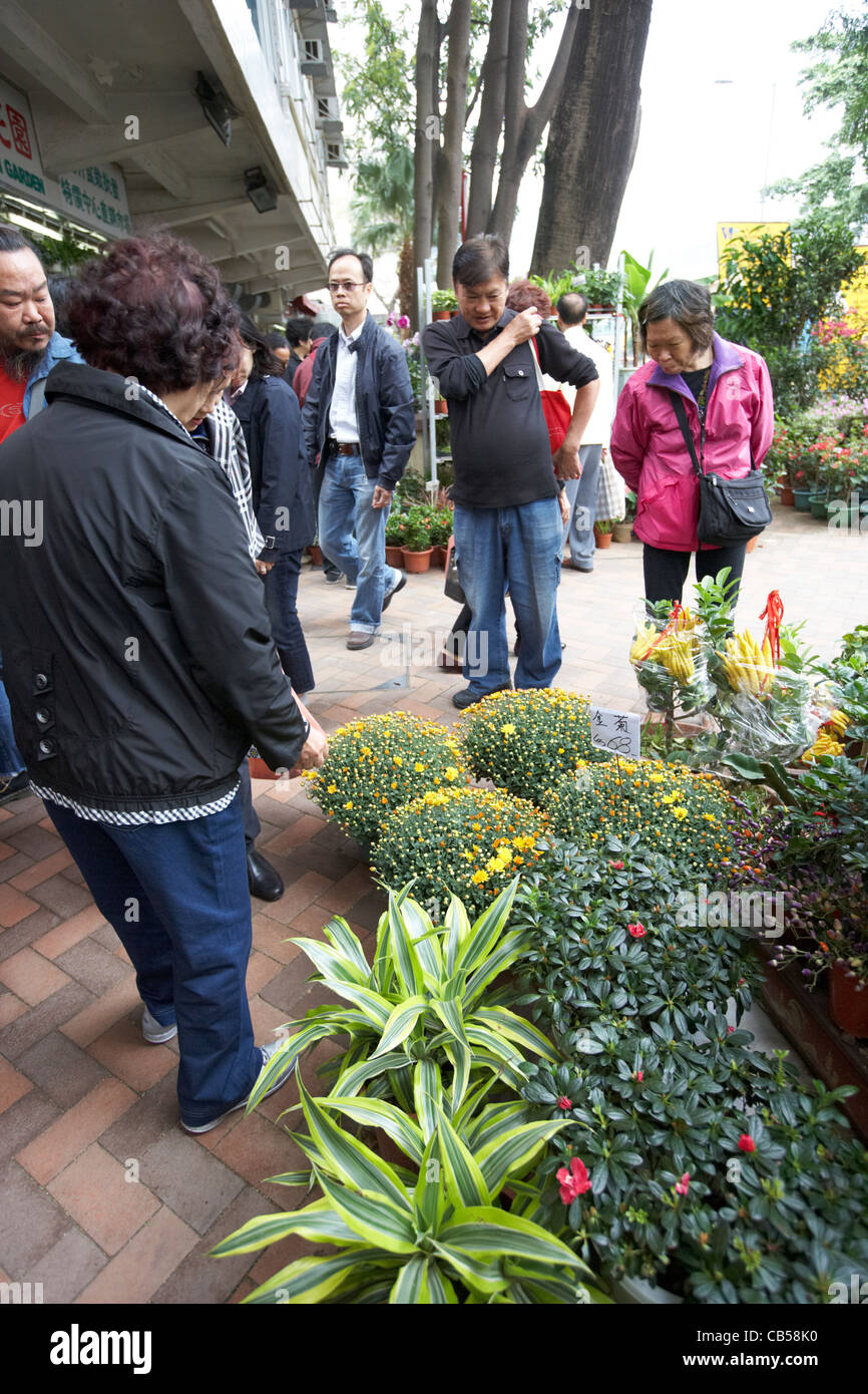 Chinesen im Flower market Mong Kok Bezirk Kowloon Hong Kong Sonderverwaltungsregion Hongkong China Stockfoto