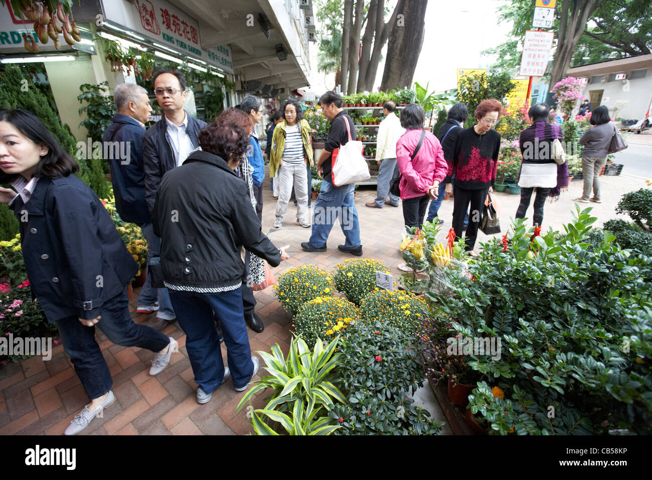 Chinesen im Flower market Mong Kok Bezirk Kowloon Hong Kong Sonderverwaltungsregion Hongkong China Stockfoto