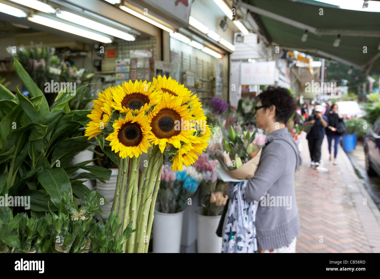 der Blumenmarkt auf Blume Markt Straße Mong Kok Bezirk Kowloon Hong Kong Sonderverwaltungsregion Hongkong China Stockfoto
