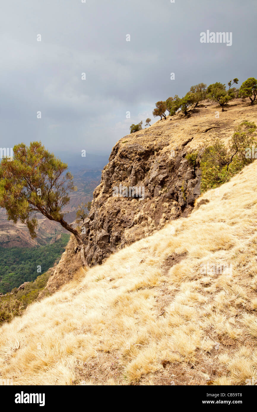 Dramatische Landschaft entlang der nördlichen Böschung in den Simien Mountains Nationalpark, Nord-Äthiopien, Afrika. Stockfoto