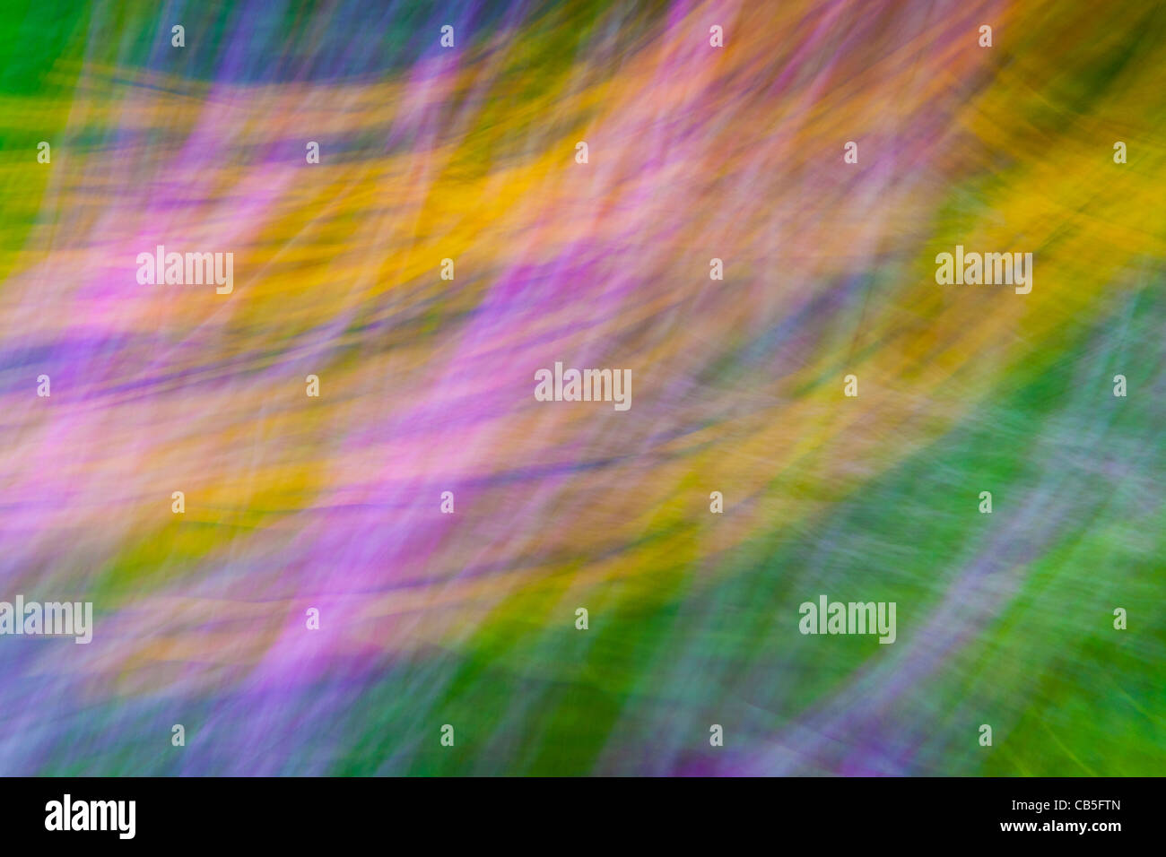 Gartenblumen, künstlerische Impression in eine abstrakte Komposition, Niedersachsen, Deutschland Stockfoto