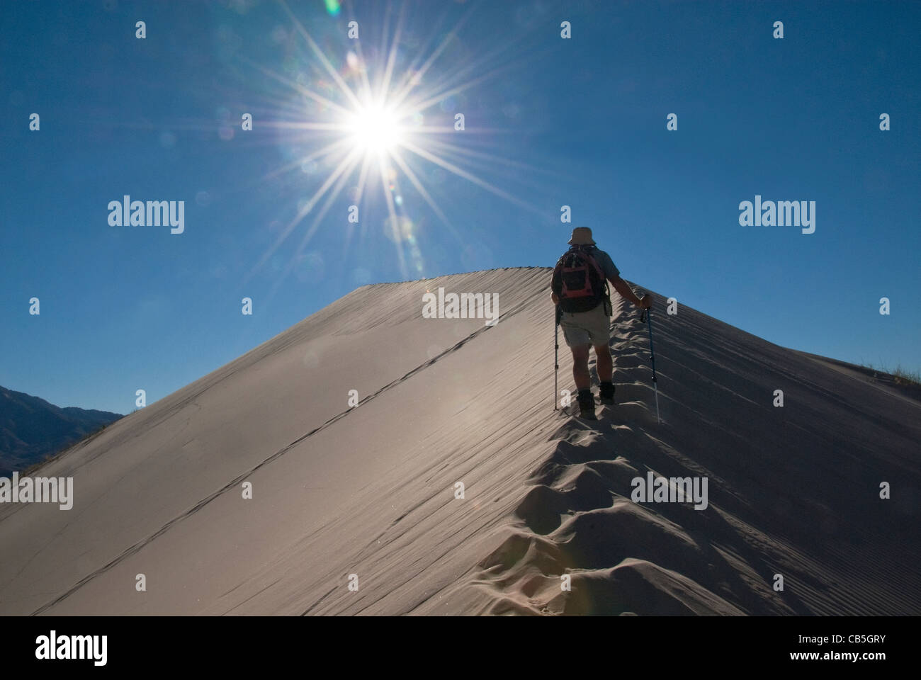 Mike Vining Wandern auf Kelso Dünen Mojave National bewahren Kalifornien USA Stockfoto