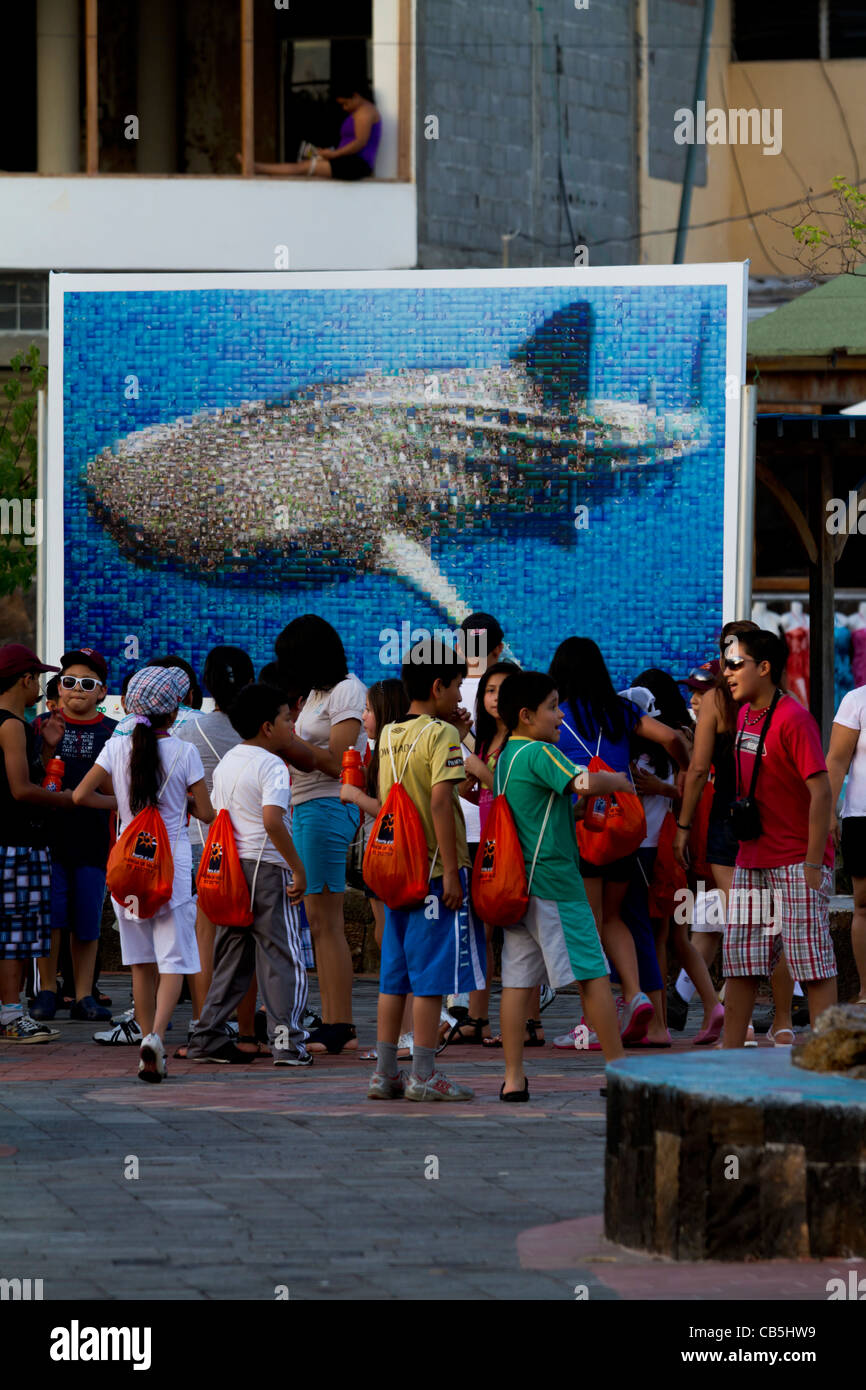 Galapagos Schule Walhai wilden Plakat Touristen Stockfoto