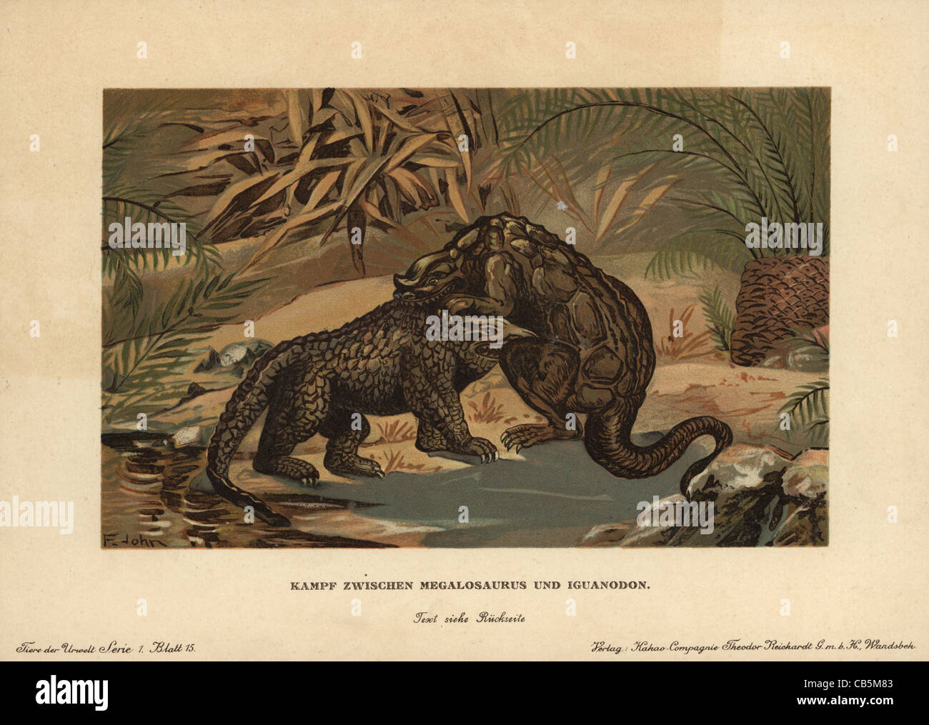 Megalosaurus kämpfen iguanodon Stockfoto