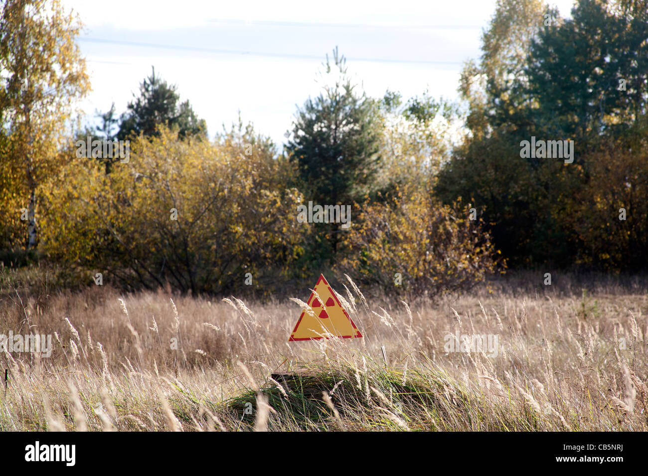 Radioaktivität Warnung Seite in der Landschaft rund um das Kernkraftwerk Tschernobyl, Tschernobyl Ukraine Stockfoto