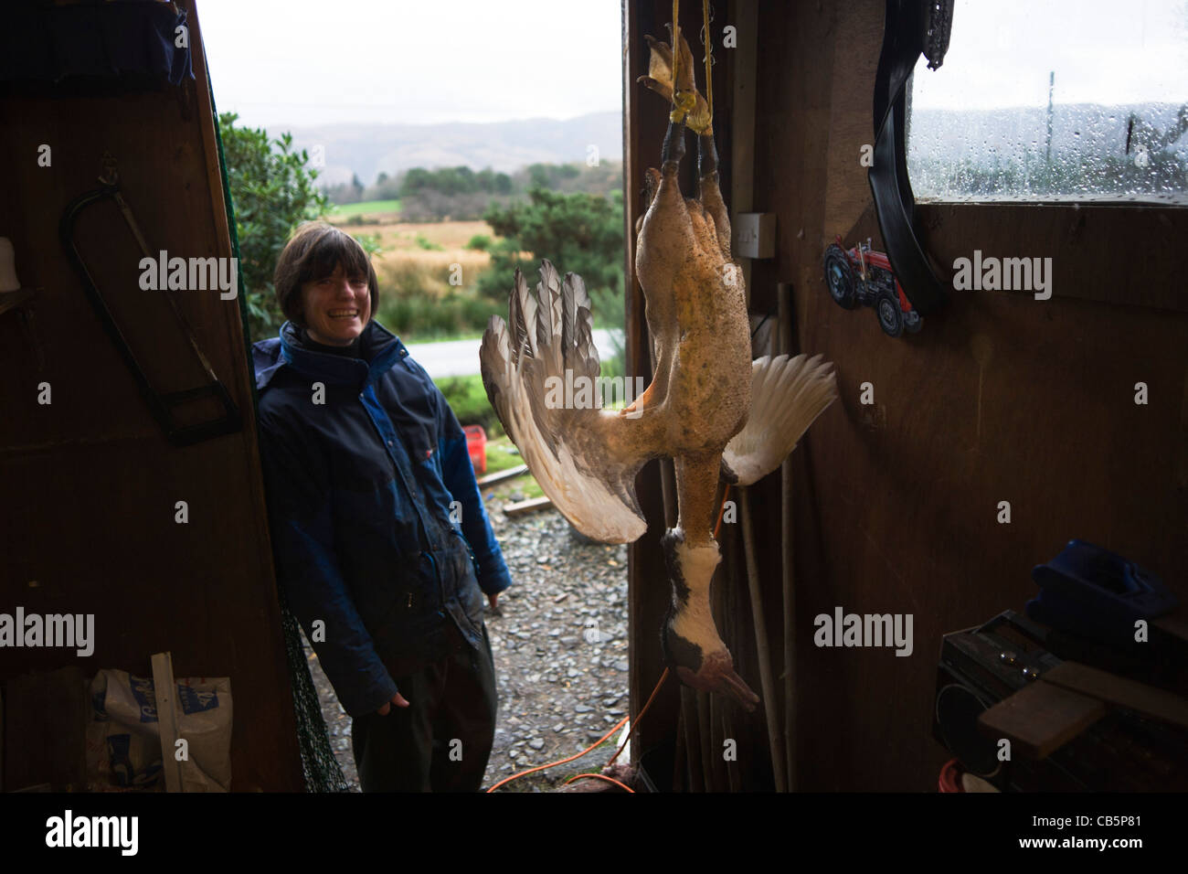 Hängende Gans Sarah Leggitts Anwesens Cottage, eine ehemalige Schmiede, die jetzt die Viehhaltung auf Lochbuie, Isle of Mull, Schottland. Stockfoto