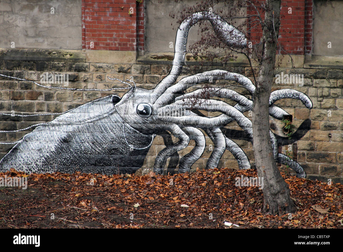 Graffiti-Kunst Tintenfisch an der Wand Stockfoto