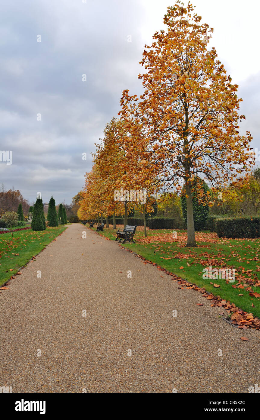 London: Herbst-Gasse in der Regent Park Stockfoto