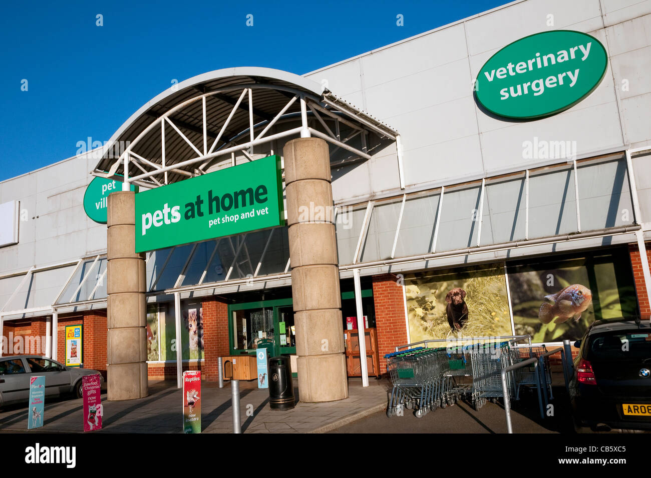 Haustiere zu Hause lagern, Norwich, Norfolk, england Stockfoto