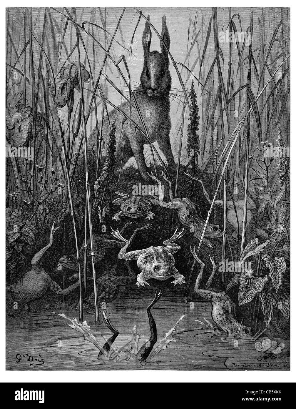 FontaineLe Lievre et Les Grenouilles der Hase und die Frösche Frosch