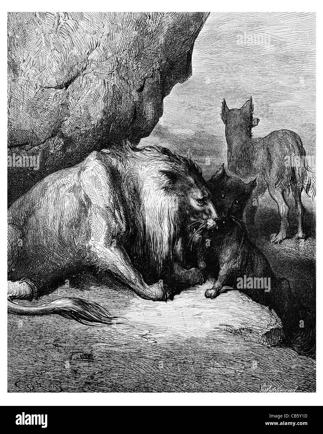 Fontaine-Le Lion le Loup et le Renard Preator Beute wilde Tierwelt Natur steinigen Felsen Mähne Schweif Klaue Schnurrhaare Whisker Pfote Stockfoto