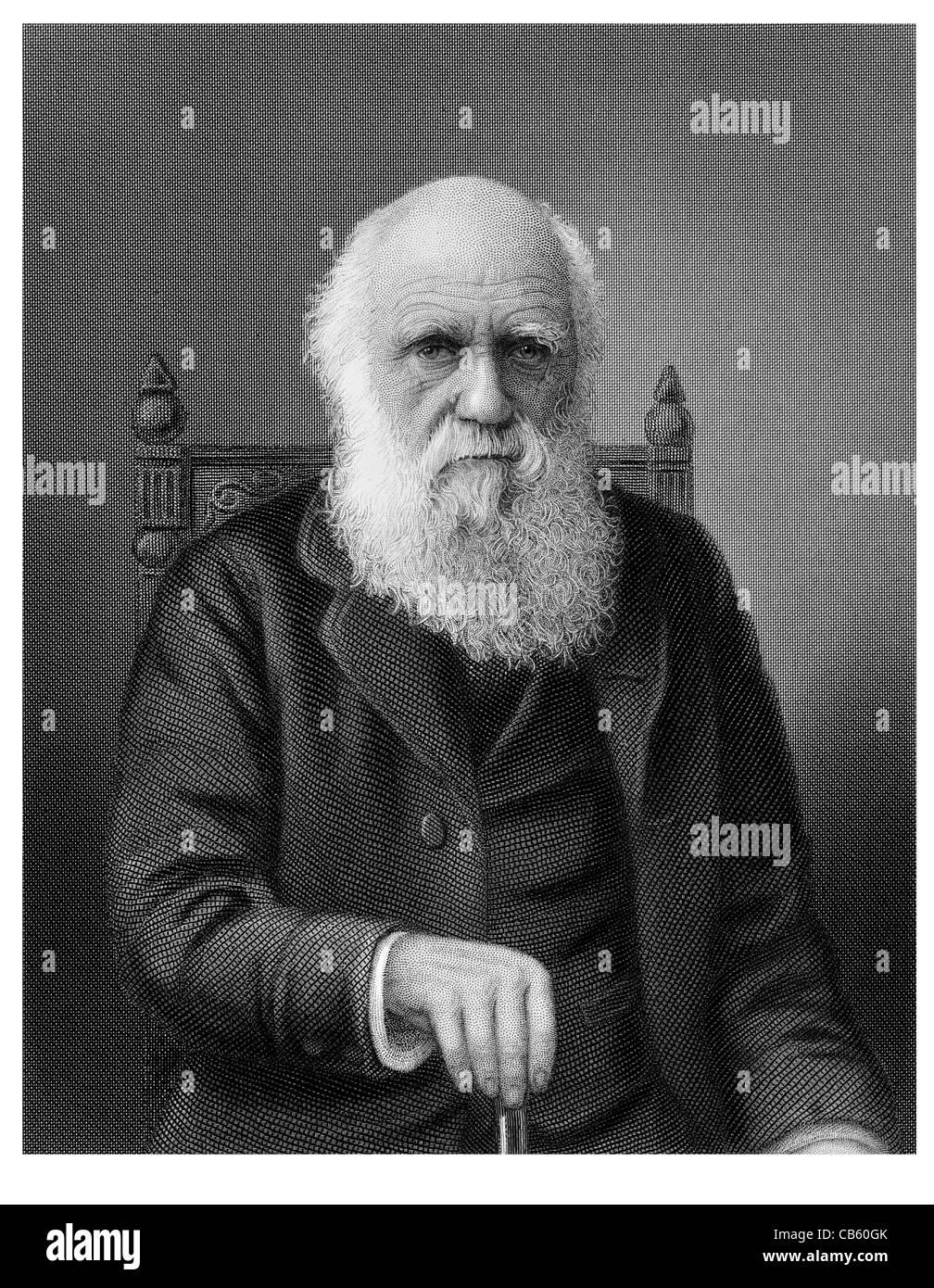 Charles Robert Darwin 1809 1882 englische Naturforscher wissenschaftliche Theorie Evolution natürliche Selektion On the Origin of Species Stockfoto
