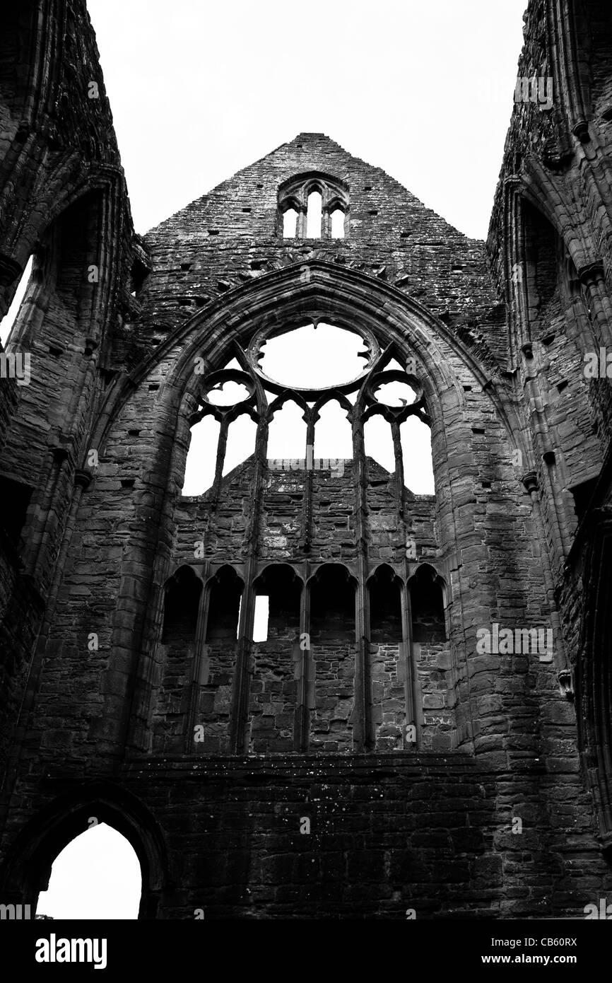 Die Überreste der Tintern Abbey Stockfoto