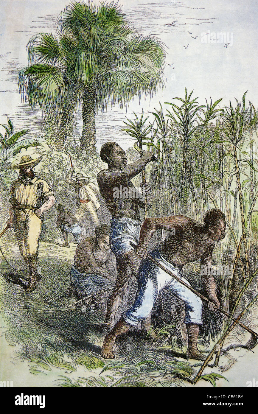 Sklaverei-Arbeiter auf einer französischen Zuckerplantage in den West Indies um 1800 Stockfoto