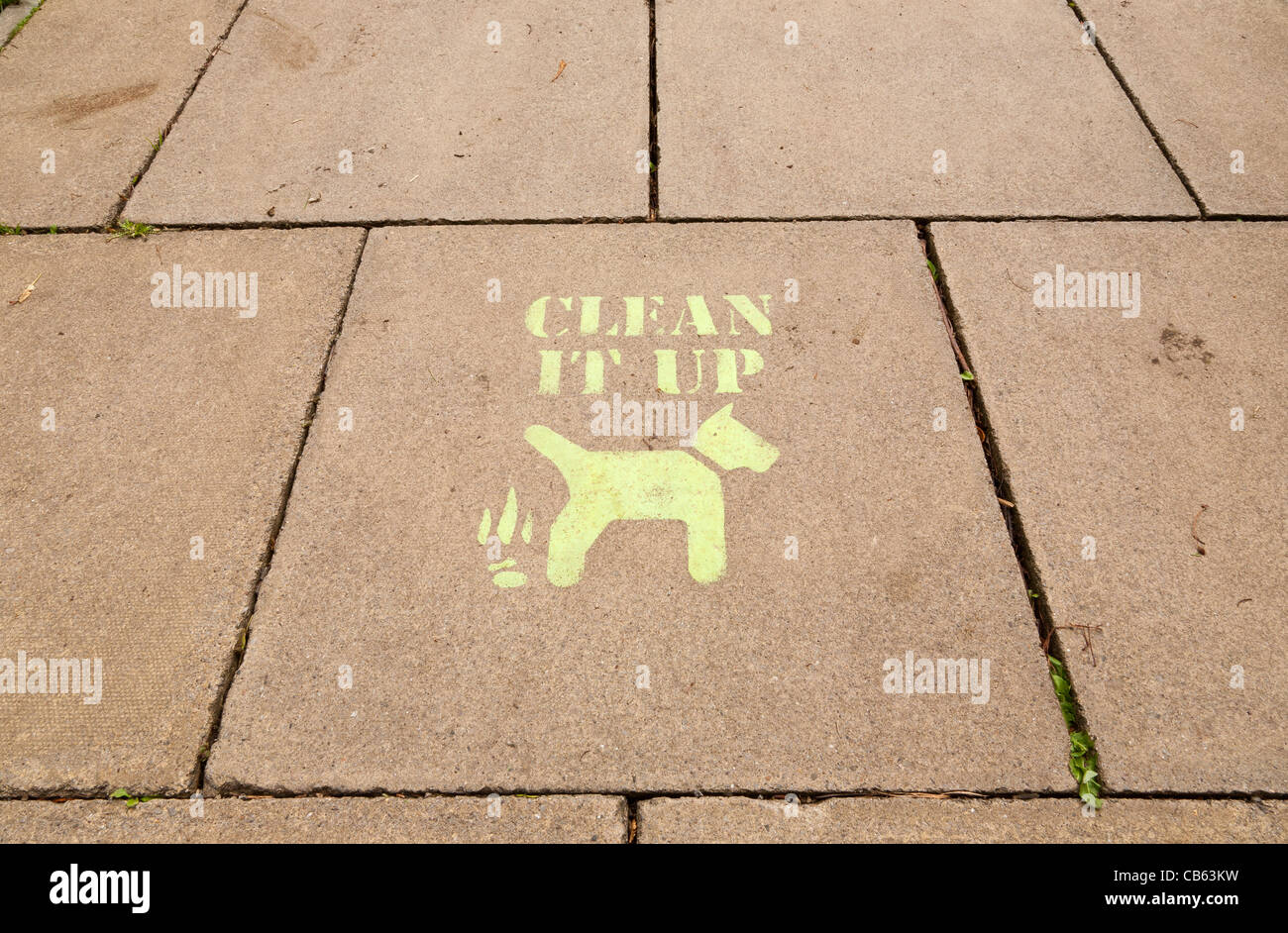 Eine Schablone-Nachricht auf einem Bürgersteig in Yorkshire UK vorgeschlagen Besitzer sollte bereinigen, nachdem ihre Hunde defecated haben Stockfoto