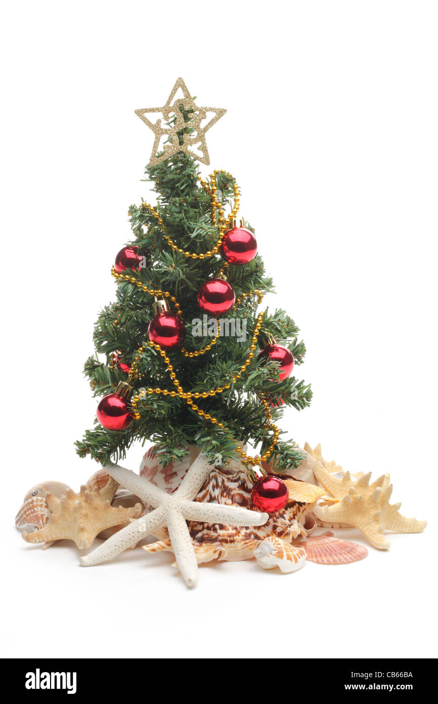Weihnachtsbaum und Muscheln auf weißem Hintergrund. Stockfoto